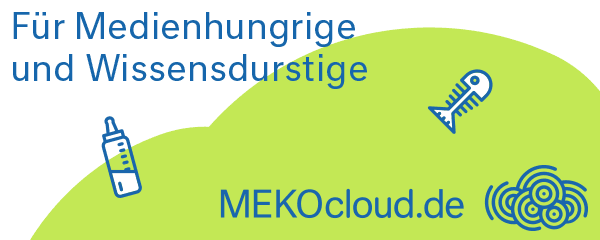 Logo MEKOcloud